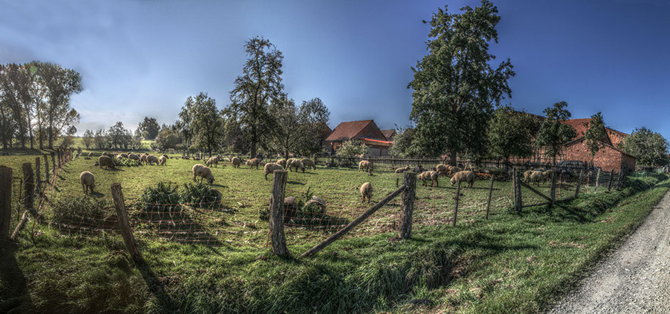 Die Umgebung von Sattenhausen